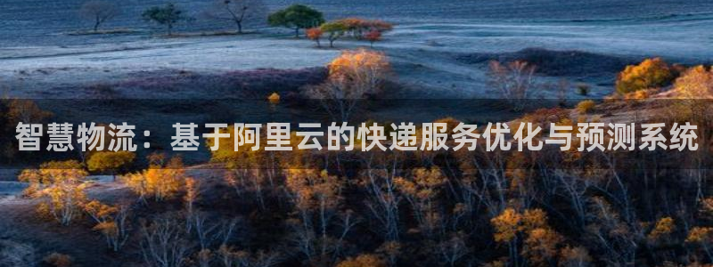 狗子28官网入口pc预测：智慧物流：