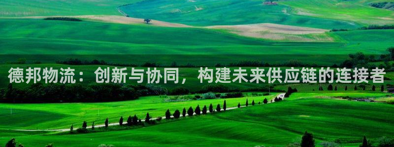狗子28链接：德邦物流：创新与协同，构建未来供应链的连接者