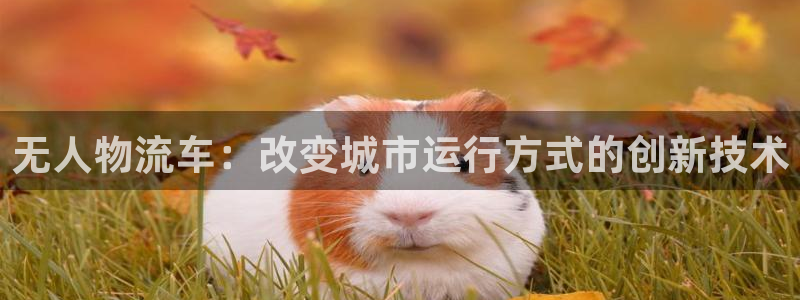 狗子28下载二维码怎么弄：无人物流车