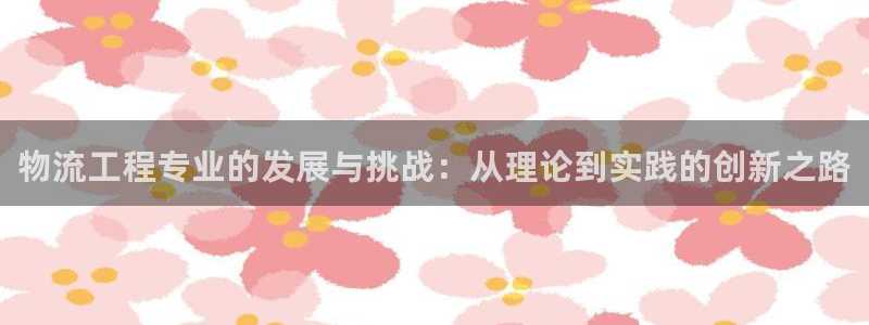 狗子28模拟：物流工程专业的发展与挑战：从理论到实践的创新之