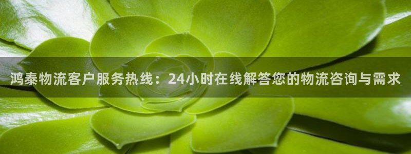 狗子28官网入口pc28：鸿泰物流客