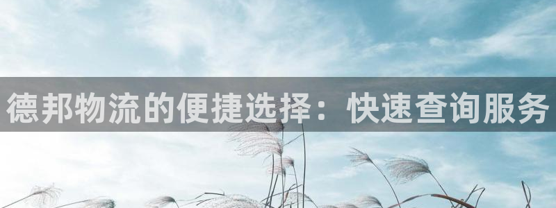 狗子28加拿大是什么意思：德邦物流的