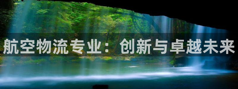 狗子28官方版网站：航空物流专业：创
