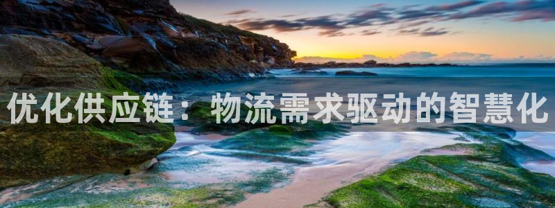 狗子28app怎么注册账号：优化供应
