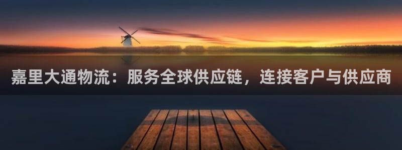 狗子28登录不上咋回事：嘉里大通物流
