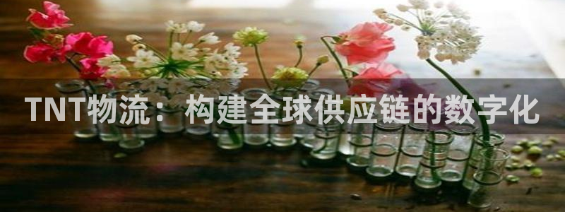 狗子28pg麻将胡了