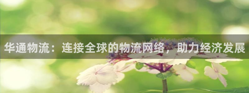 狗子28比特28真实吗：华通物流：连接全球的物流网络，助力经