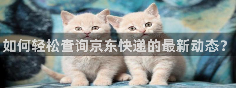 狗子28怎么注册游戏名字：如何轻松查