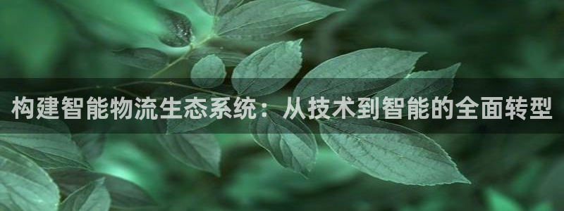 狗子28注册步骤：构建智能物流生态系统：从技术到智能的全面转