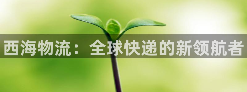 狗子28下载体育：西海物流：全球快递