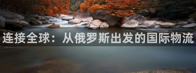 狗子28模拟器在线使用：连接全球：从