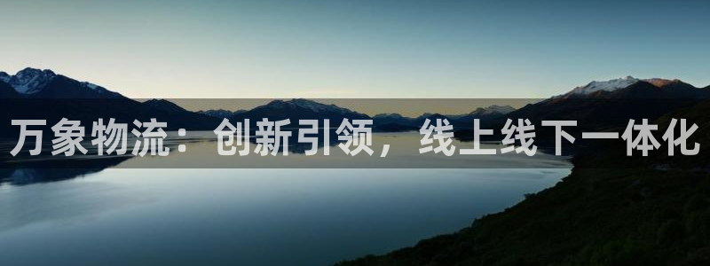 狗子28开奖预测：万象物流：创新引领，线上线下一体化