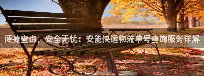 狗子28官网入口app：便捷查询，安全无忧：安能快运物流单号