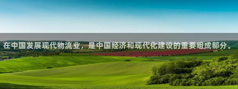 狗子28充值：在中国发展现代物流业，