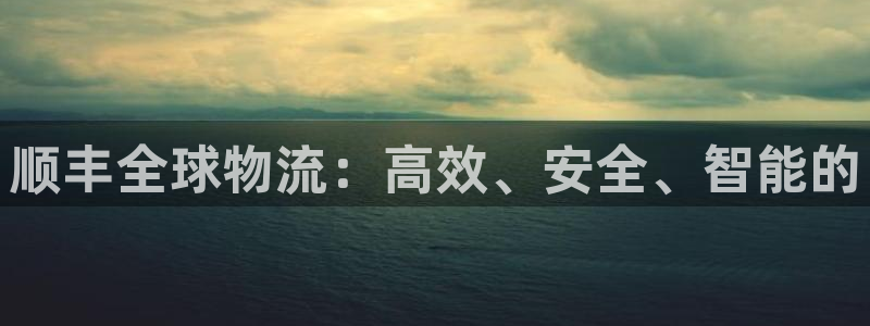 pc狗子28怎么注册：顺丰全球物流：