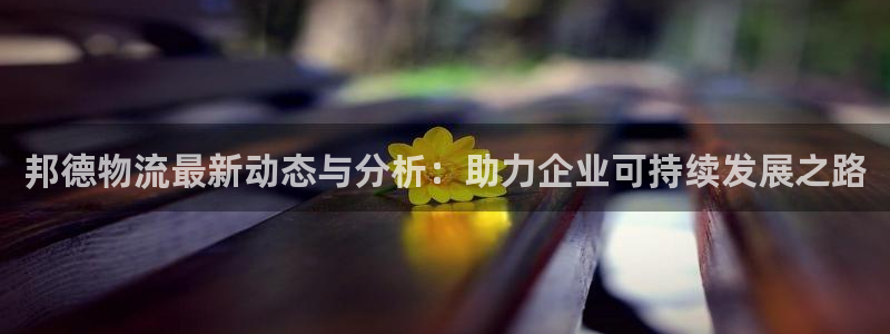 狗子28官方官网：邦德物流最新动态与