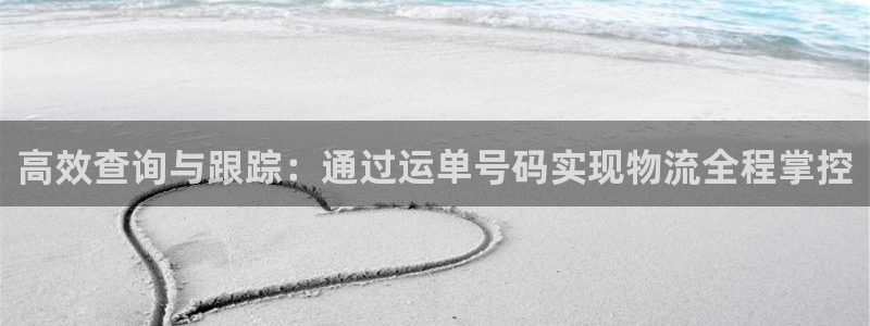 狗子28软件总是闪退怎么回事：高效查