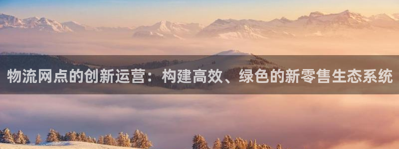 狗子28加拿大最新版：物流网点的创新
