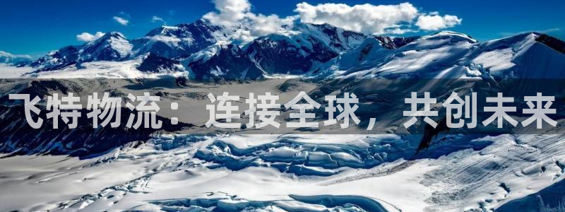 狗子28登录网：飞特物流：连接全球，