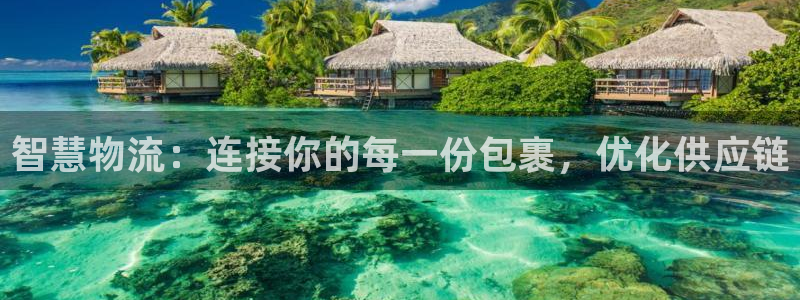 狗子28是什么是赌博吗?：智慧物流：