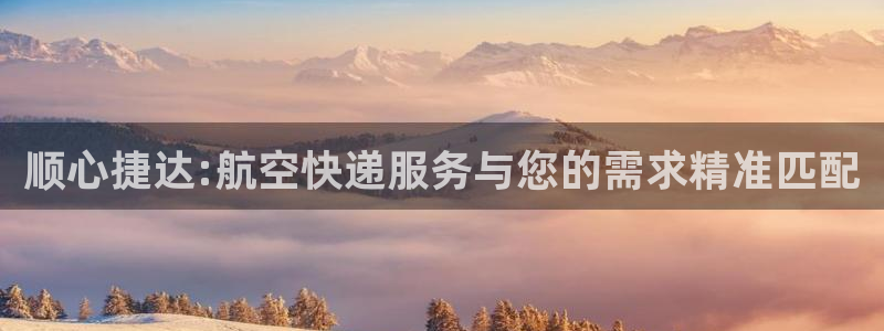狗子28链官网：顺心捷达:航空快递服