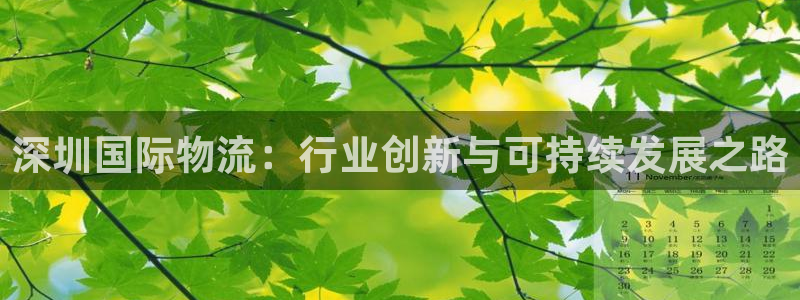 狗子28加拿大预测：深圳国际物流：行