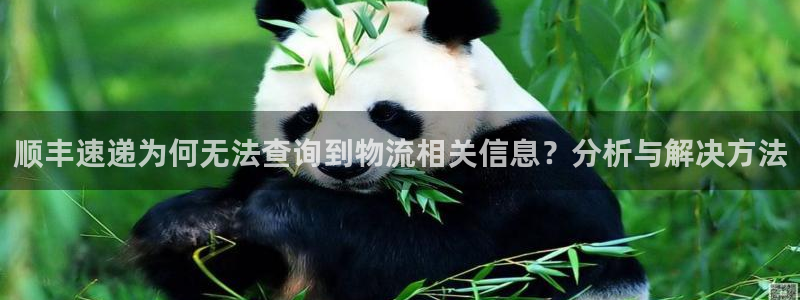 狗子28注册网址百度知道：顺丰速递为