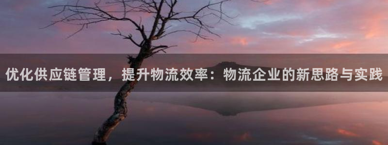 狗子28比特28预测在线预测：优化供