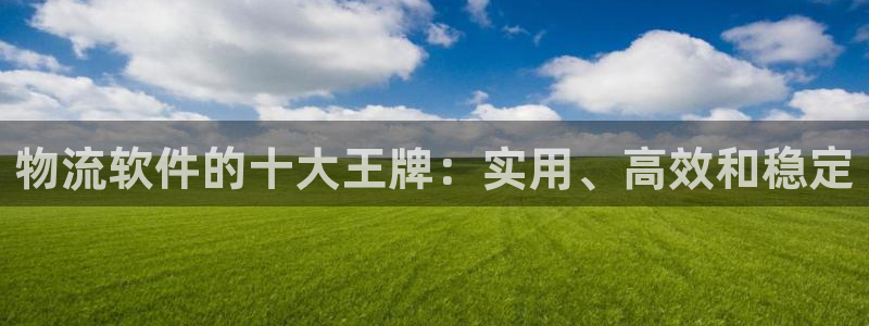 狗子28分分压单双技巧：物流软件的十