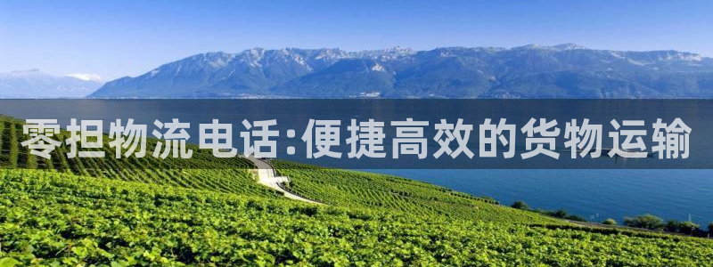 狗子28预测：零担物流电话:便捷高效