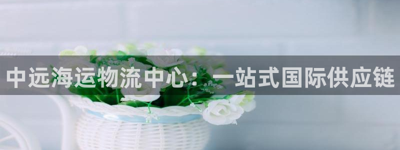 狗子28取保：中远海运物流中心：一站