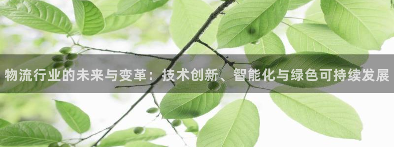 狗子28登录用户名登录不上：物流行业